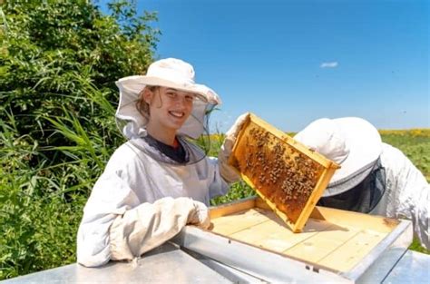3 Reasons To Support Your Local Beekeepers