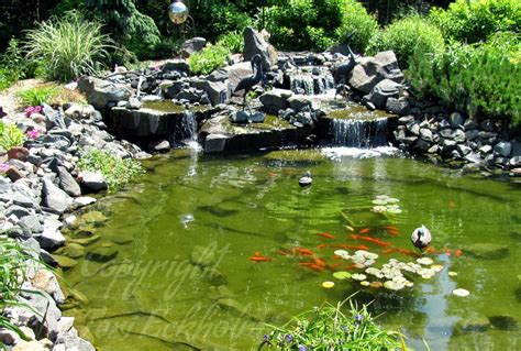 Each of our koi packages is unique and contains varieties chosen by top japanese breeders. Minnesota Real Estate Update: September 2013