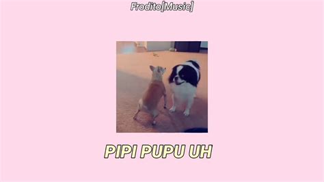 Pipi Pupu Check Letra Lyrics Youtube