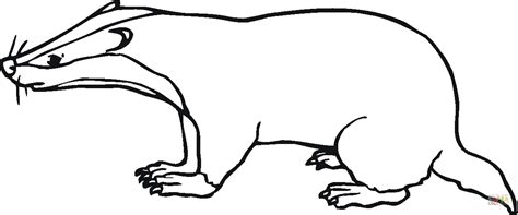 Badger in the wild coloring page. Badger 5 coloring page | Free Printable Coloring Pages