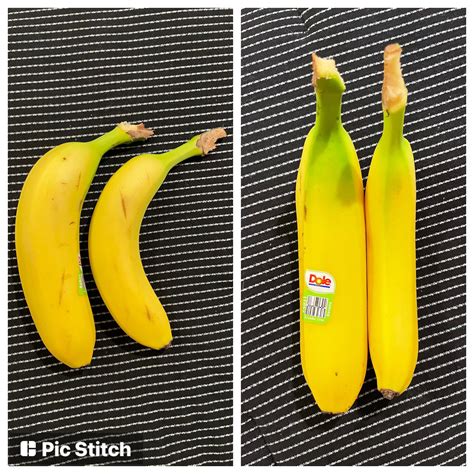 This Banana Banana For Scale Rabsoluteunits