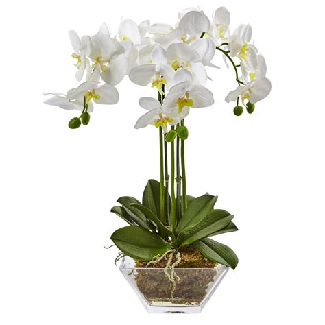 Nearly Natural 22 In Triple Phalaenopsis Orchid In Glass Vase 4570 The Home Depot