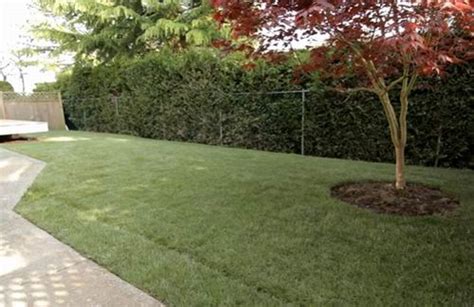 Learning how to efficiently water your lawn will help save you money and preserve this precious natural resource. How Often Should I Water My Lawn with Sprinkler System?