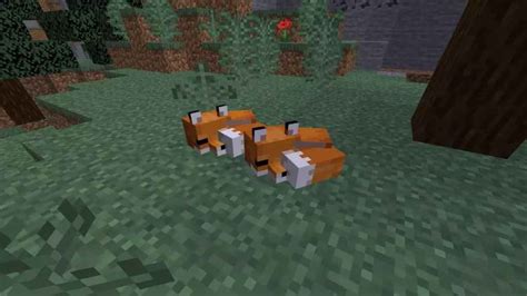 How To Tame A Fox In Minecraft 2022 Pro Game Guides
