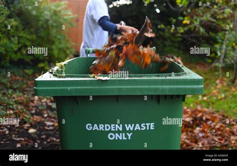 Clearing The Garden Of Fallen Leaves From The Autumn Fall And Recycling