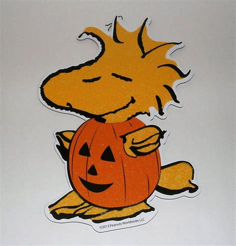 Amazonsmile Peanuts Its The Great Pumpkin Charlie Brown Woodstock