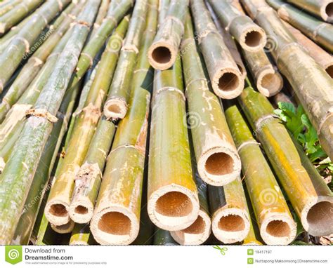 Bamboo Was Cut Stock Image Image Of Architecture Asian 19417197