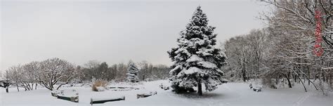 Fotografii Iarna In Bucuresti Prima Ninsoare Partea Frumoasa
