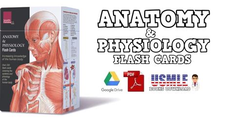 Anatomy And Physiology Flash Cards Free Printable Printable Templates