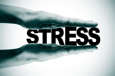 Importance Of Stress Management Essay Speech Article My Edu Corner