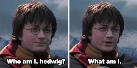 20 Funny Harry Potter Memes You Must See Photos