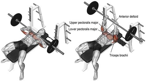 Physiology of the 60 degree incline close grip bench press. 6 Best Triceps Workouts Gym Fitness Coach | fitness motivation