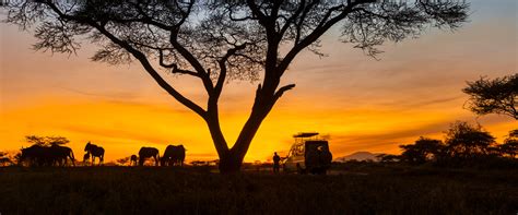 Tanzania Safari Tours - K2 Adventure Travel