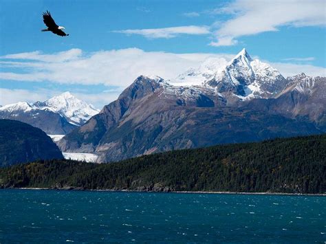 Chilkat Mountains Climbing Hiking And Mountaineering Summitpost