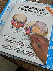 The Anatomy Coloring Book, 4th Edition: Kapit, Wynn, Elson, Lawrence