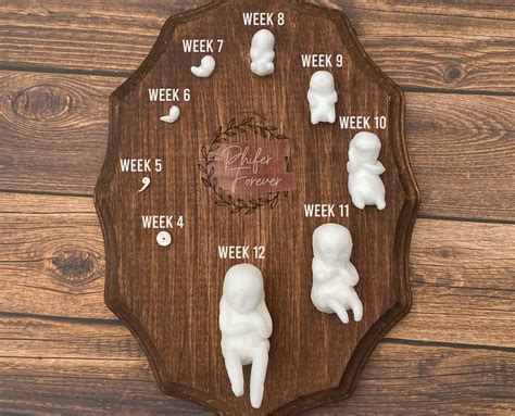 Leaf With Baby Miscarriage Memorial Pregnancy Loss 4 12 Etsy