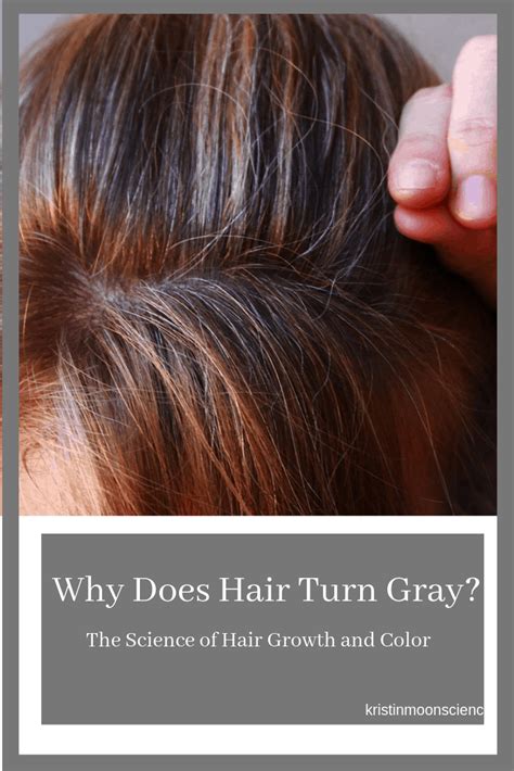 Why Does Hair Turn Gray Hair Science Hair Turning White Moon Science