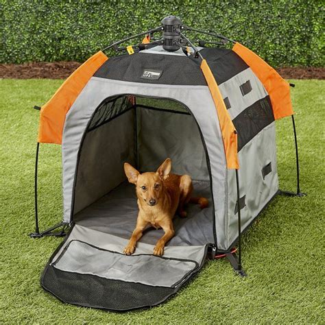 Buy Petego Umbra Pet Portable Dog Tent Small At Free