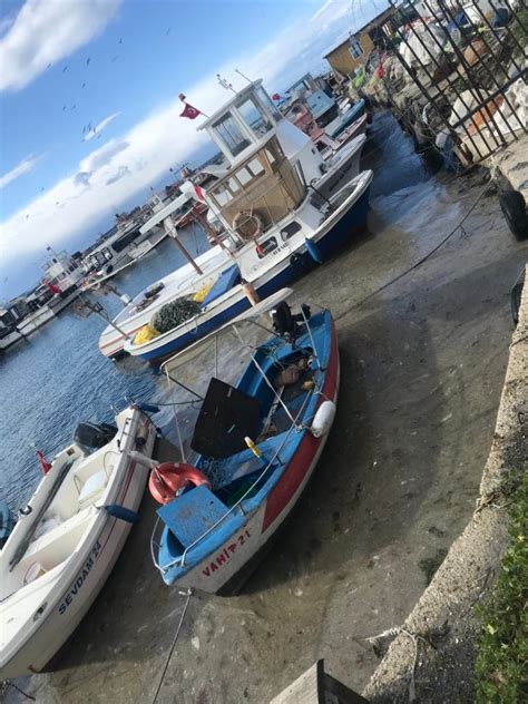 Hal böyleyken deniz salyası (müsilaj) nedir, neden olur? İstanbul'da tedirgin eden görüntünün nedeni belli oldu ...