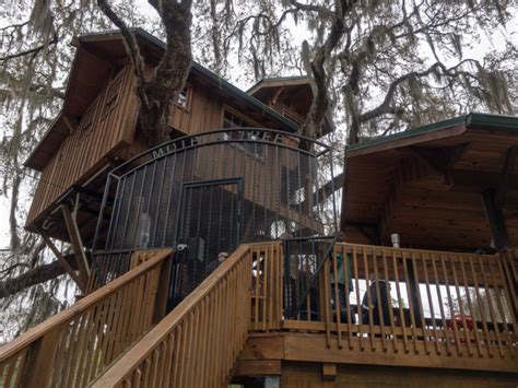 Spirit of the suwannee music park cabins. Spirit of the Suwannee Music Park and Campground - Live ...