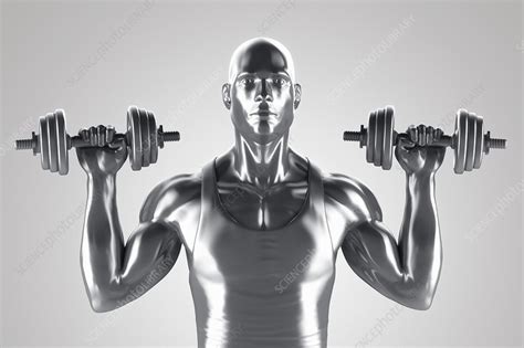 Exercise Workout Artwork Stock Image C0205585 Science Photo Library