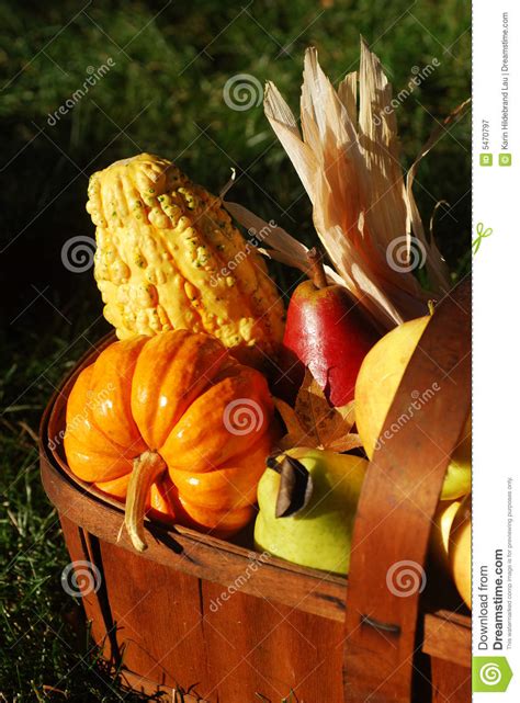 Autumn Harvest Stock Image Image Of Lighting Food Vegetable 5470797