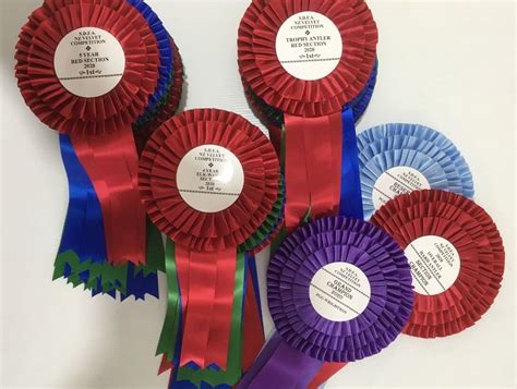 Satin Prize Sashes Prize Ribbons Rosettes Banners New Zealand