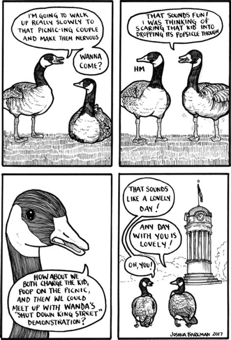 Falseknees Geese Guys Geese Funny Animal Comics Sassy Animals