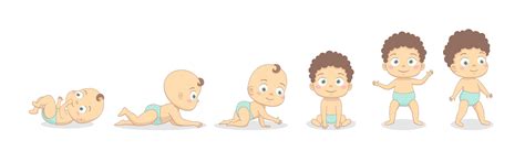Baby Boy Growth Process 1213423 Vector Art At Vecteezy