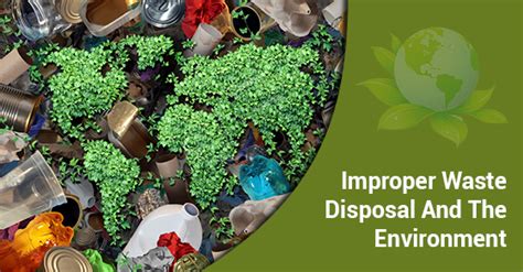 The Environmental Impact Of Improper Waste Disposal Essential Disposal