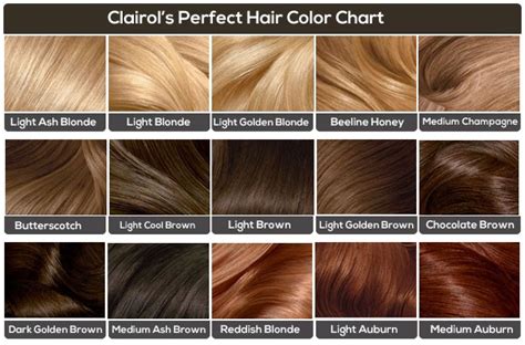 Jmoranphotography wp content uplo 20. LADIES WORLD: Three Amazing Hair Colour Charts From Your ...