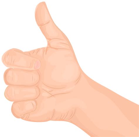 Thumbs Up PNG Transparent Image Download Size X Px