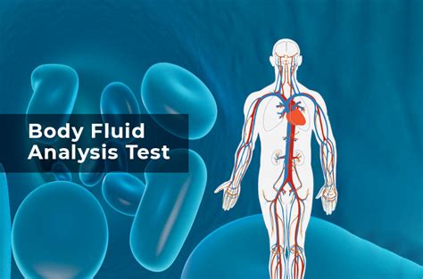 body fluid analysis test an overview