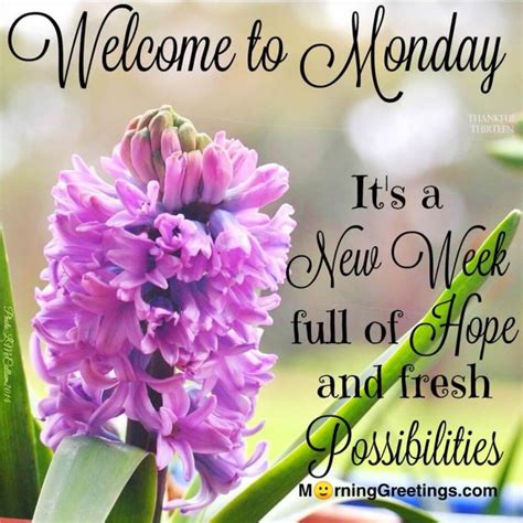 70 Best Monday Morning Quotes Wishes Pics Morning Greetings Morning Wishes