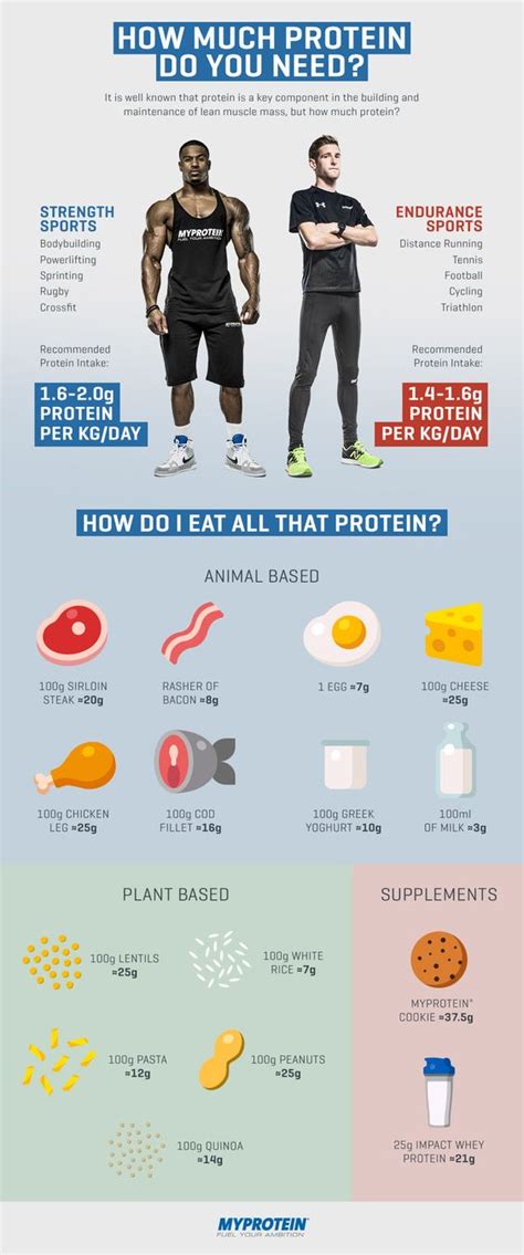 100G Protein Per Day Diet - dominter