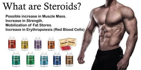 What Are Steroids Digital Scrapz