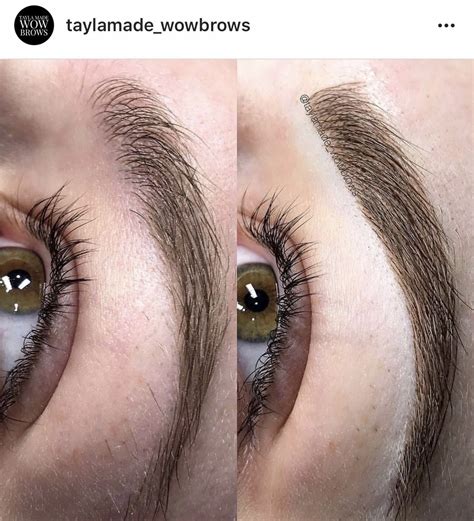 Brow Tattoo Melbourne Hair Stroke Feather Touch Microblading