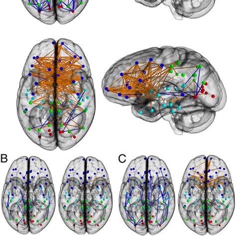 Pdf Sex Differences In The Structural Connectome Of The Human Brain