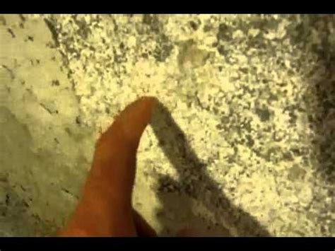 Remove any items damaged by the mold. White Mold Removal in Basement on Concrete - YouTube ...