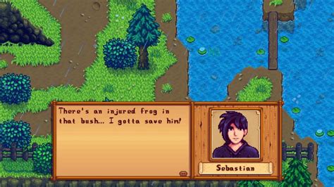 Stardew Valley Where To Find Sebastian - Stardew Valley: 13 Reasons Why Sebastian is the Best Bachelor