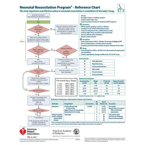 Nrp Neonatal Resuscitation Program Reference Chart Other Walmart