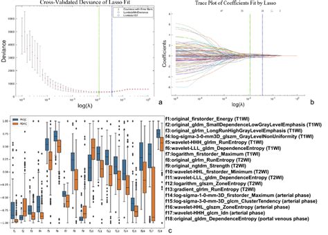 Radiomic Feature Selection Using The Least Absolute Shrinkage And