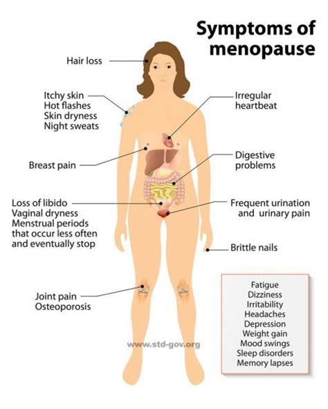 how long does menopause last std gov blog