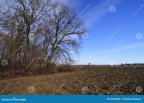 Early Spring In The Countryside Stock Photo Image Of Rural