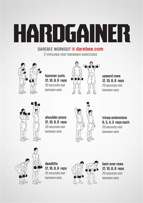 Hardgainer Workout