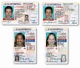 Dmv Drivers License Number Pictures