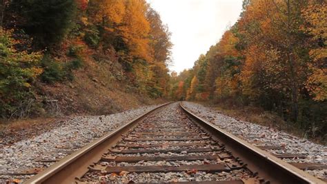 Train Trestle Bridge And Beautiful Fall Leaves Stock Footage Video