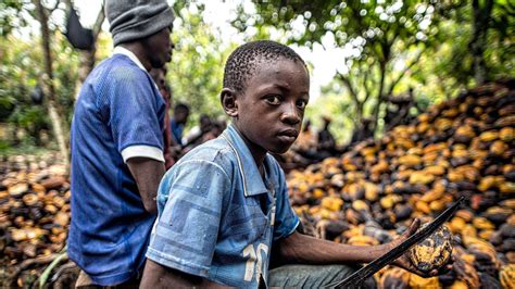 Petition · Stop Child Labor In The Cocoa Industry ·