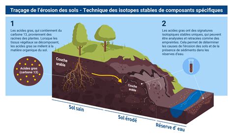 Qu’est-ce que l’érosion des sols ? Comment les techniques nucléaires ...