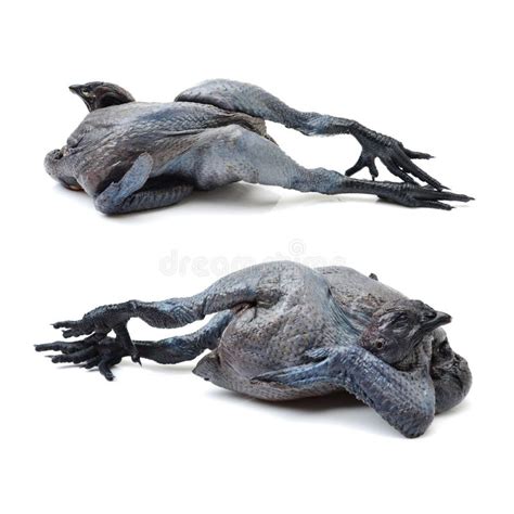 Raw black chicken feet stock image. Image of china, isolated - 135980227